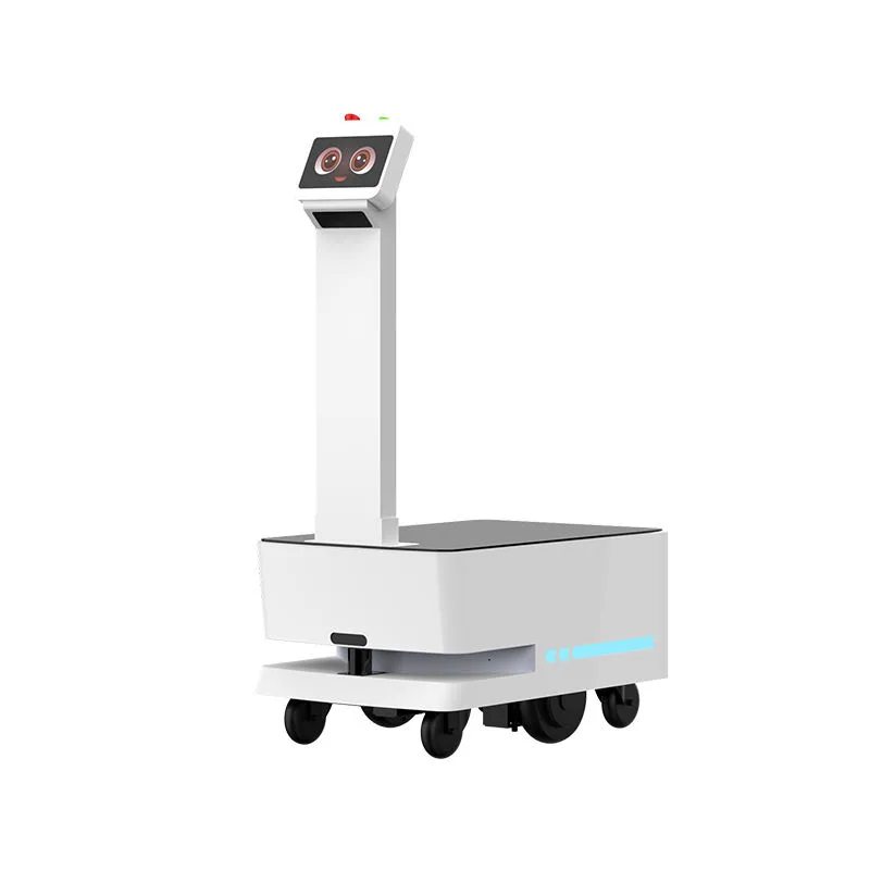 Industrial AGV Logistics Delivery Robot