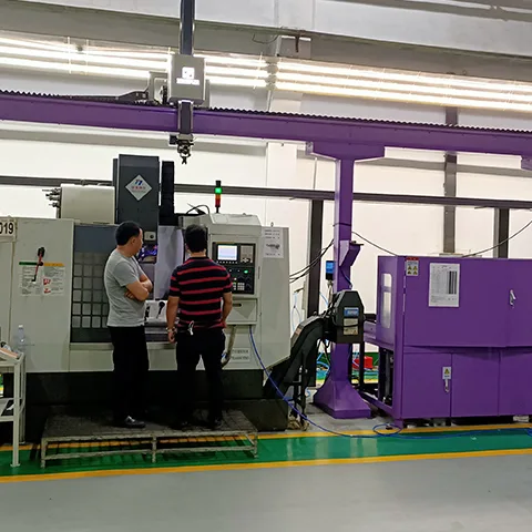 TZ-MZ Heavy-Duty Gantry Robot Production Line
