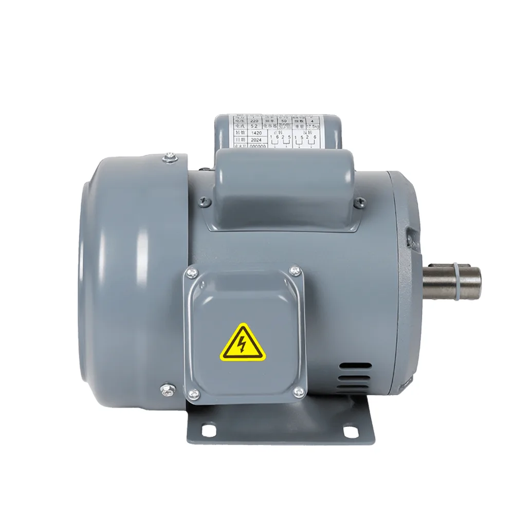 ZF Iron-Shell Single-Phase Dual-Capacitor Motor